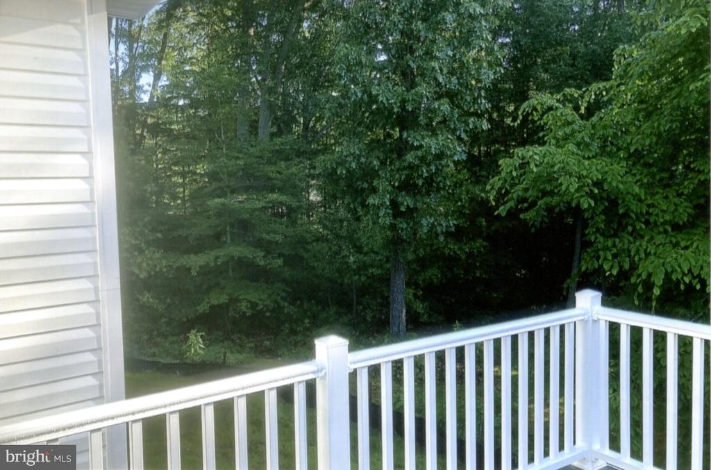 White-railed deck overlooking dense green trees.