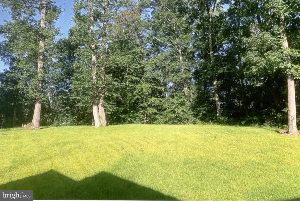 Grassy yard bordered by mature trees and dense woodland.