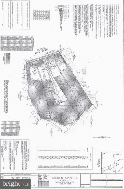Land survey plat showing parcel boundaries, buildings, and Bailiff Road.