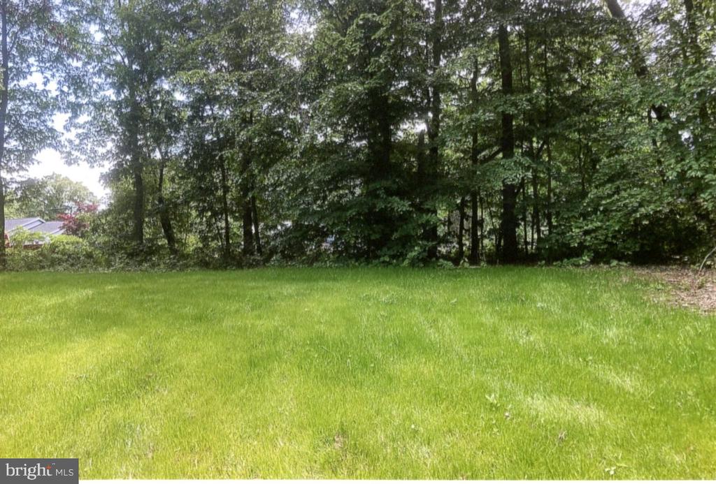 Grassy yard bordered by mature trees and dense woods.