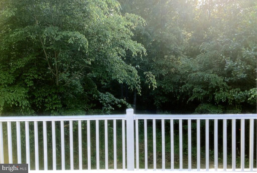Wooded backyard viewed over a white deck railing.