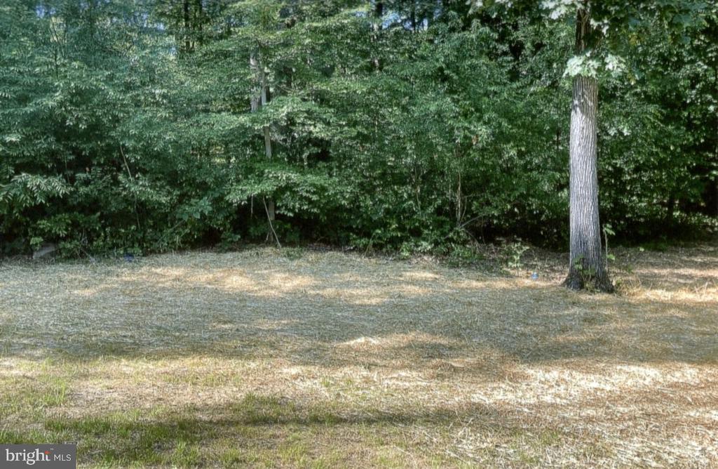 Cleared area bordered by mature trees and dense woods.