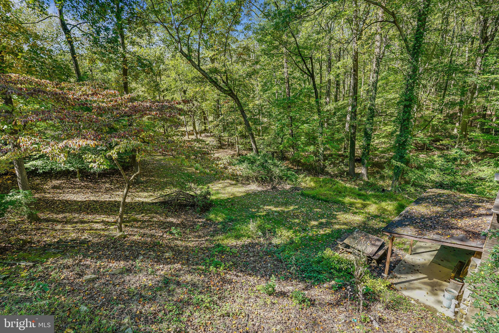 175 CREEK DRIVE