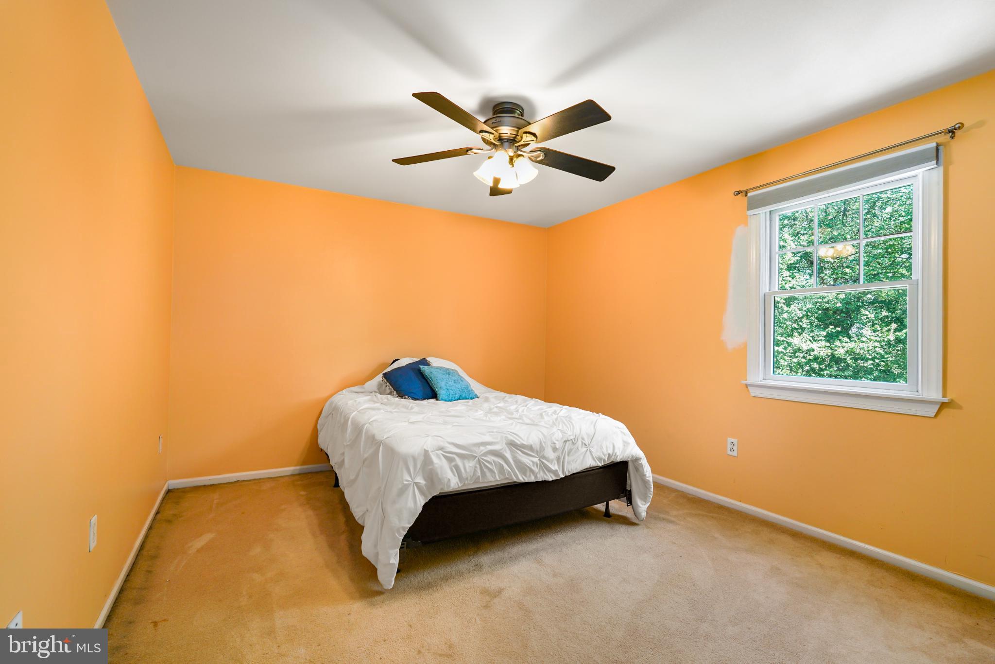 704 LITTLE EGYPT ROAD