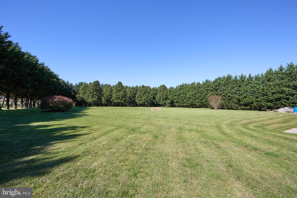 Expansive mown lawn bordered by mature evergreen trees under a clear blue sky.