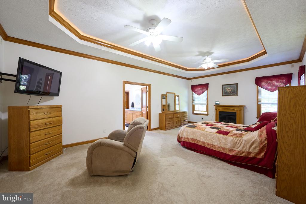 Furnished bedroom with a wood-trimmed tray ceiling, two ceiling fans, fireplace, and bathroom doorway.