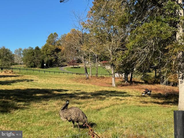 97 MCCAULEY ACRES ROAD