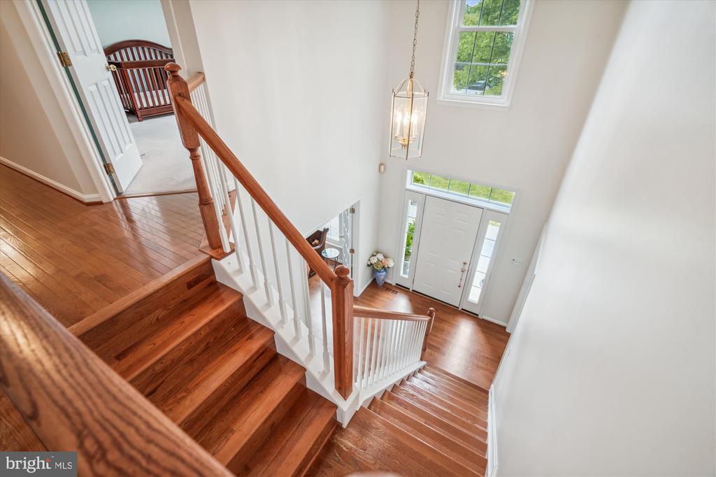 10003 LAWRENCE POND COURT