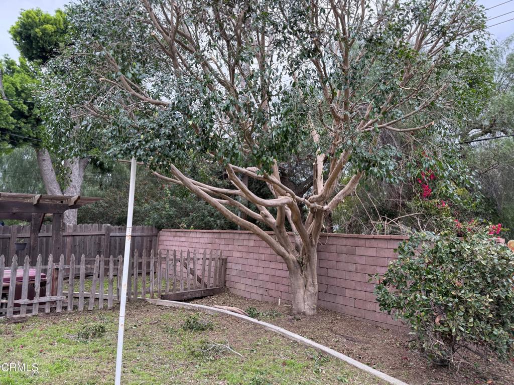 1524 Lyndhurst Avenue