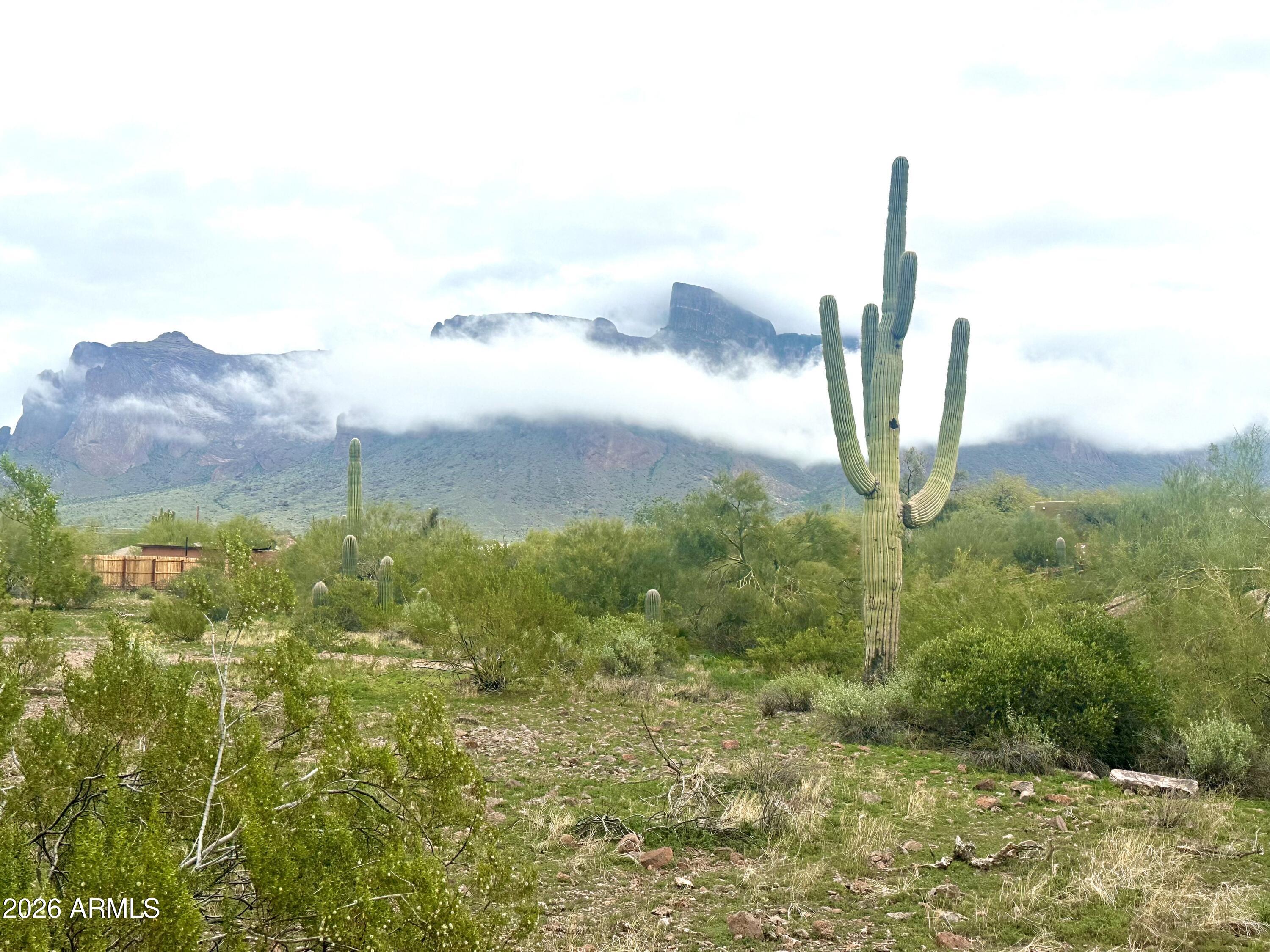 4924 E ROUNDUP Street 1 (A)