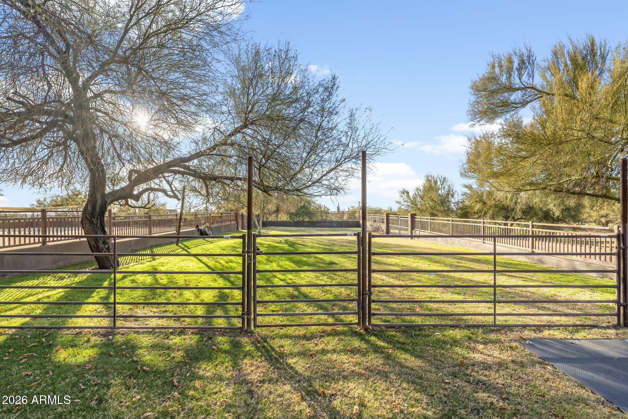 8449 E Dixileta Drive