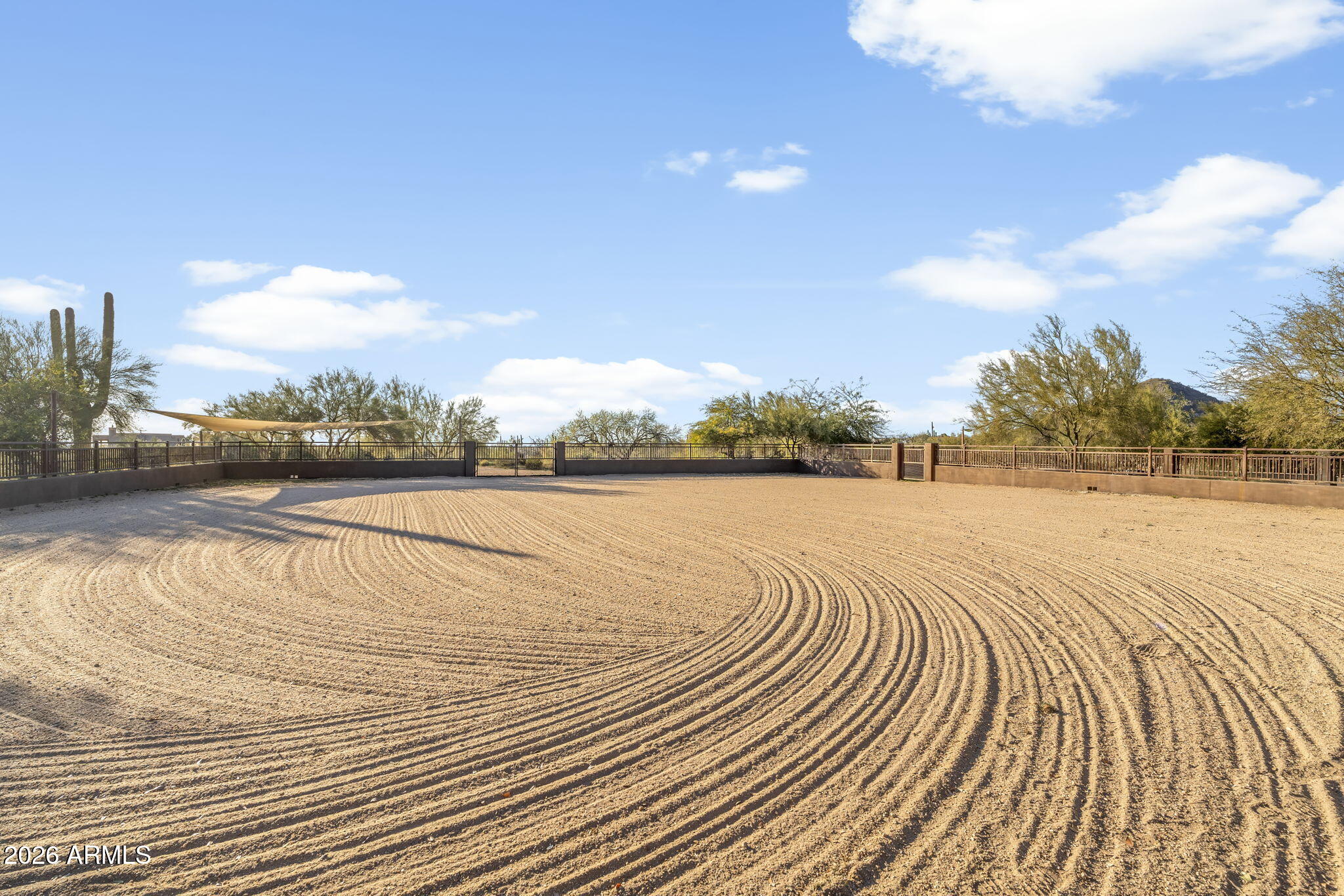 8449 E Dixileta Drive