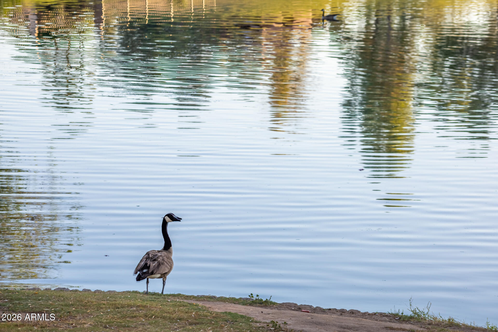 3201 S HORIZON Place