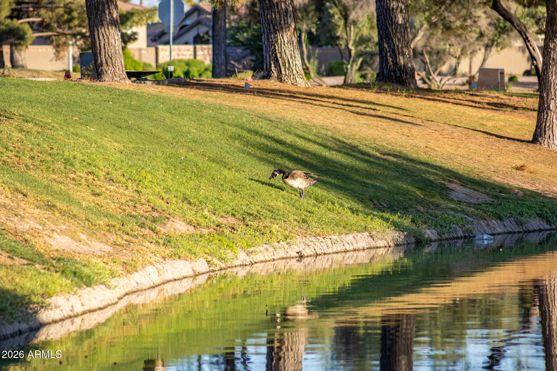 3201 S HORIZON Place