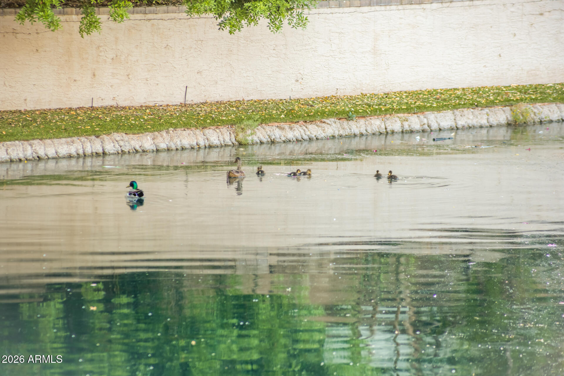 3201 S HORIZON Place