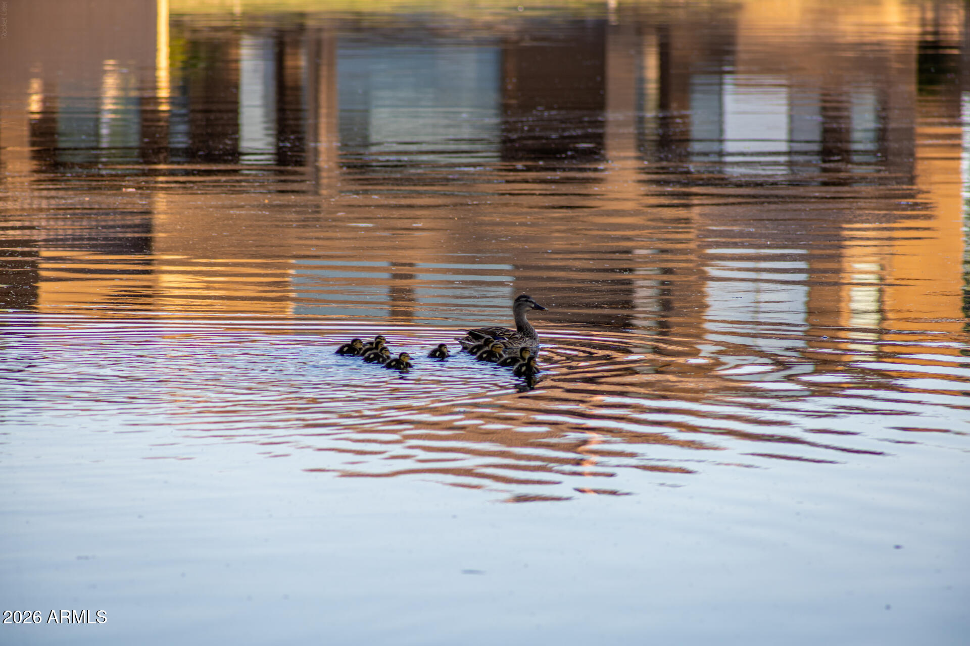 3201 S HORIZON Place