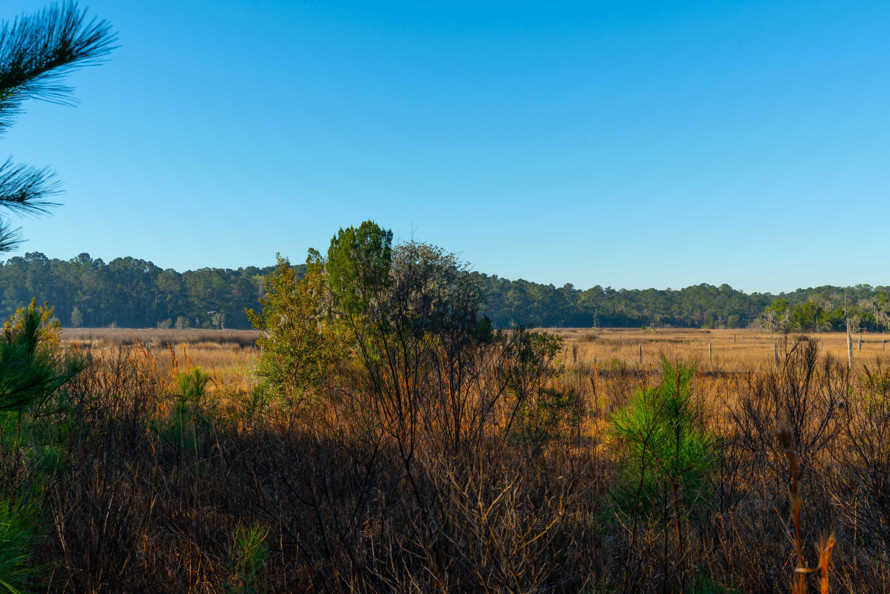 0 Rushland Landing Road