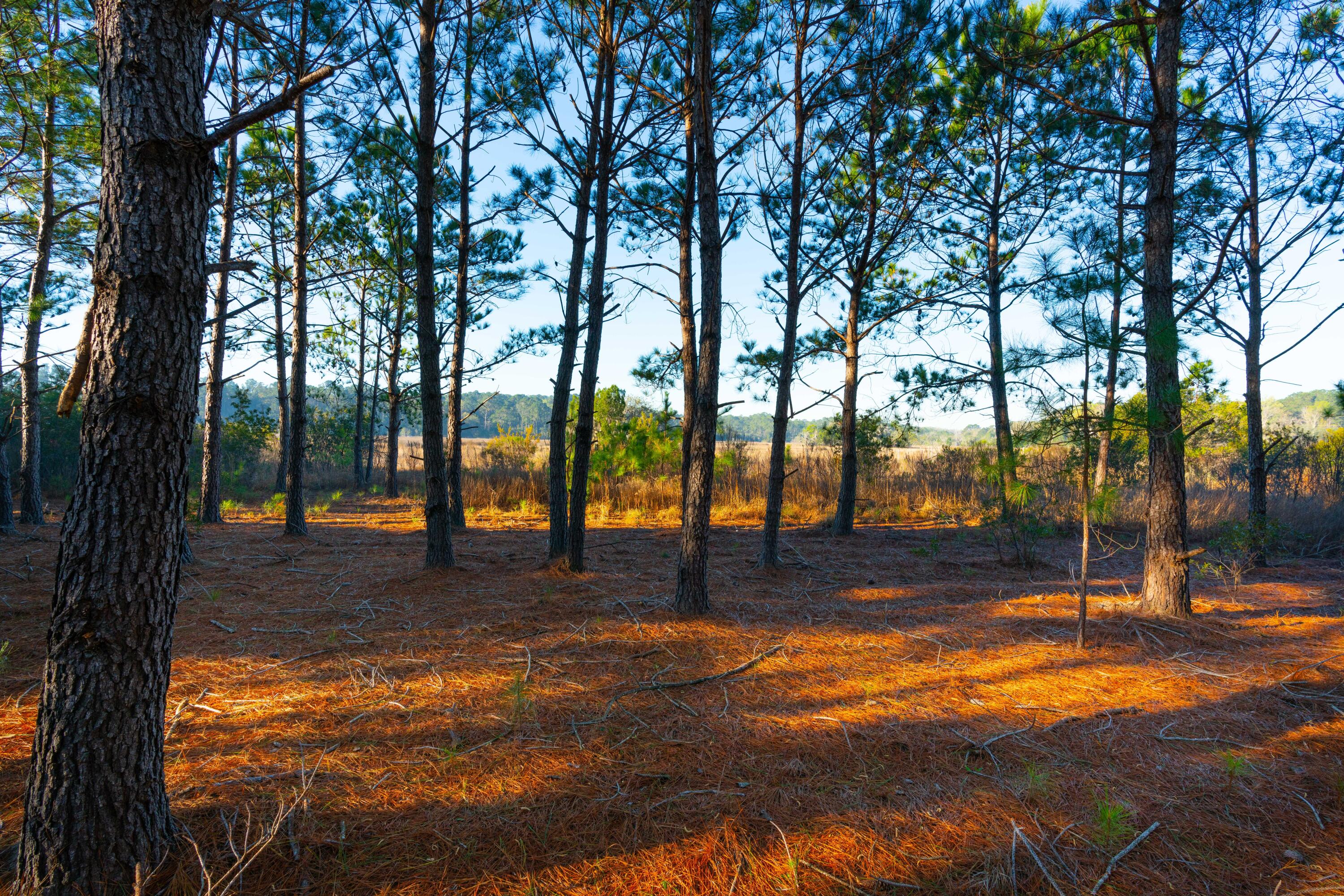 0 Rushland Landing Road