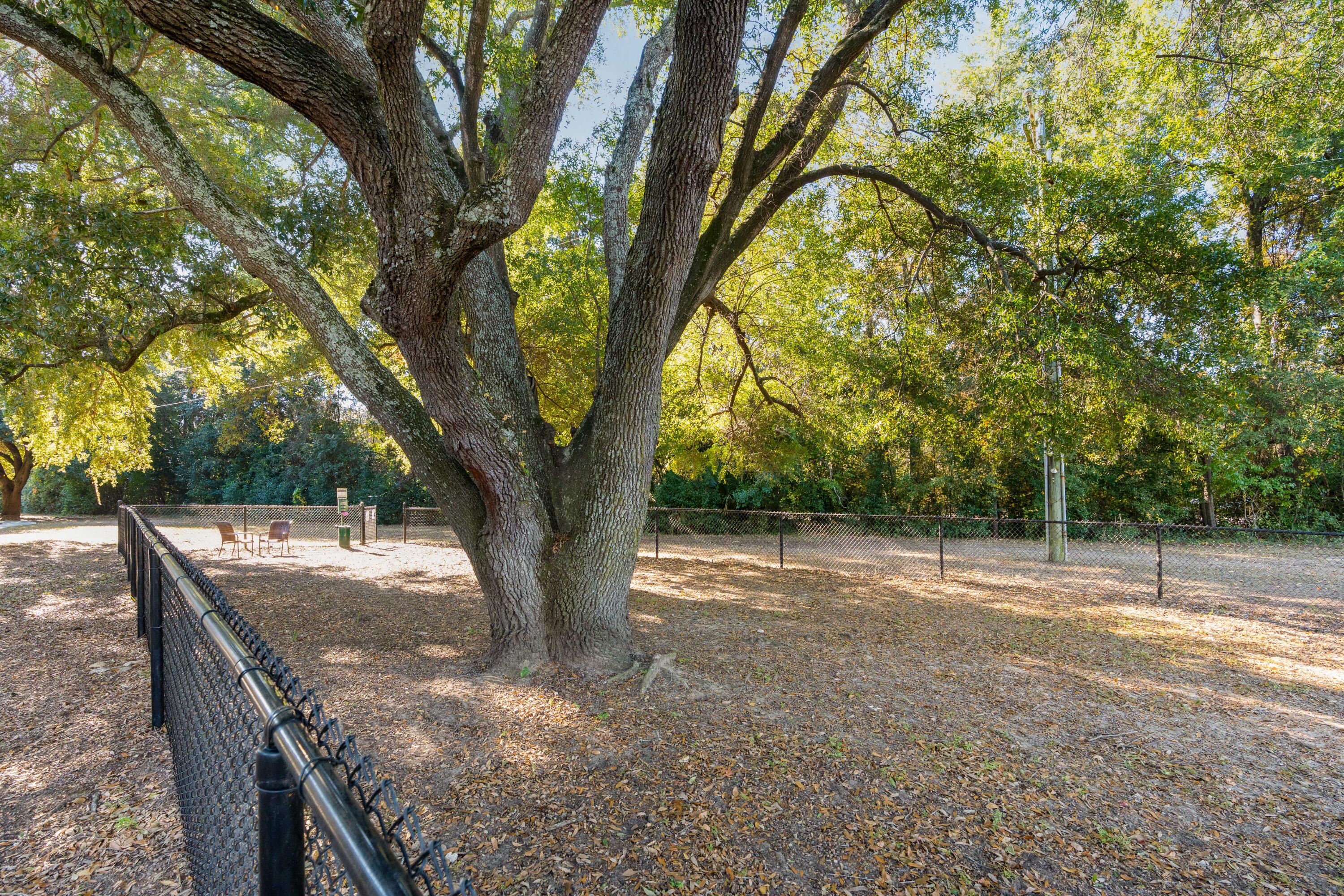 268 Alexandra Drive # 11