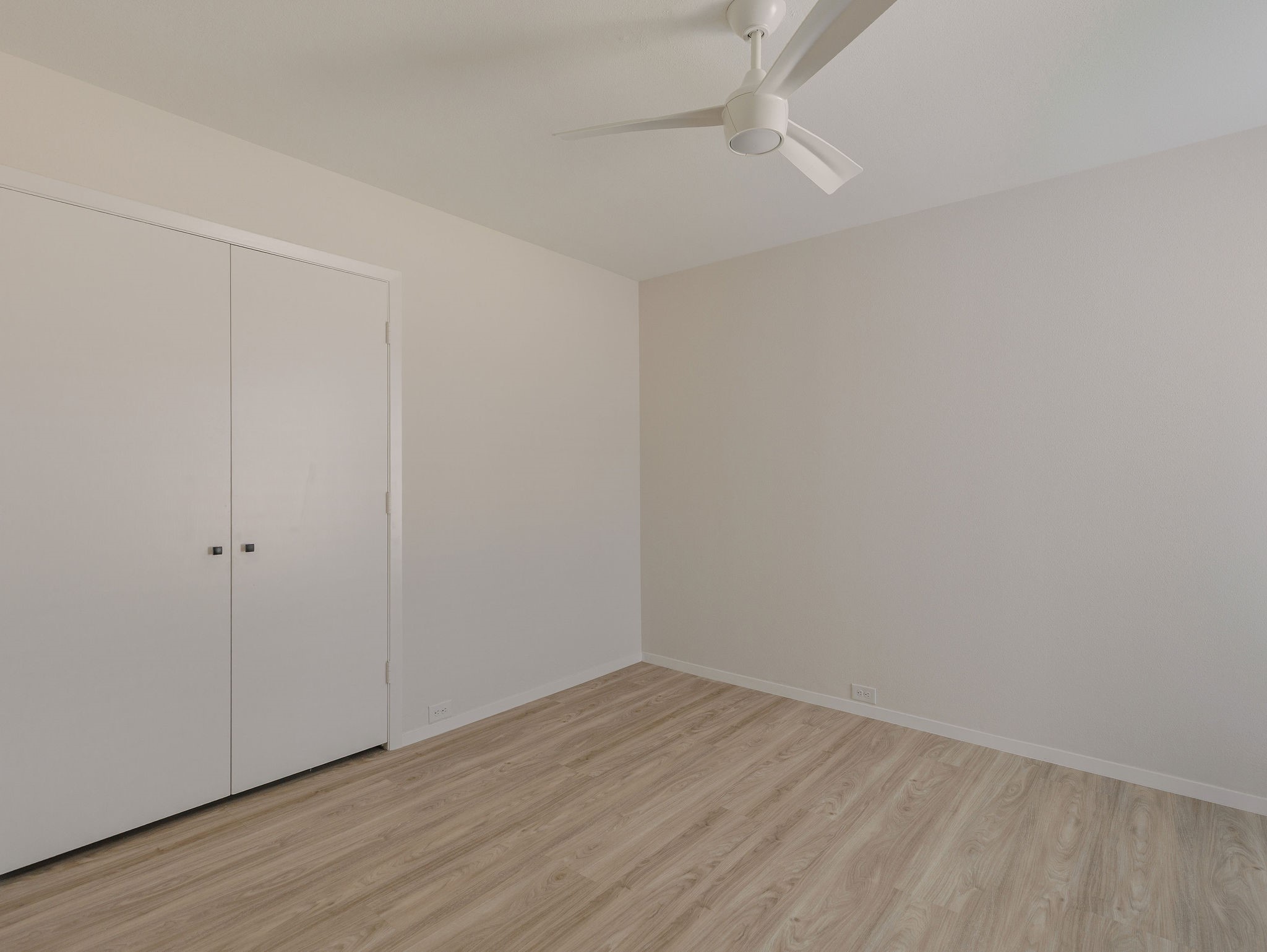 1109 Mill Springs