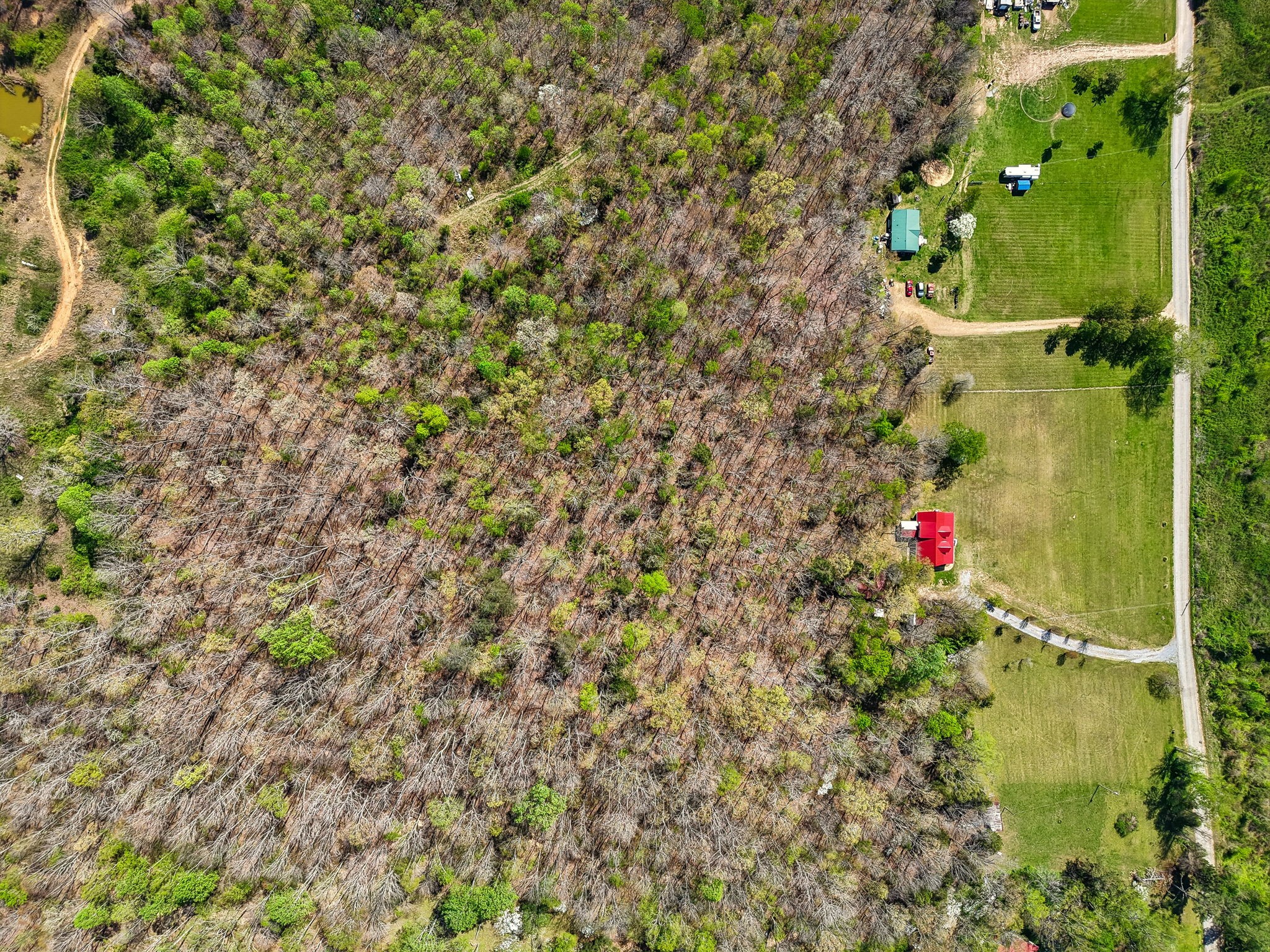 6100 Bell Branch Trl