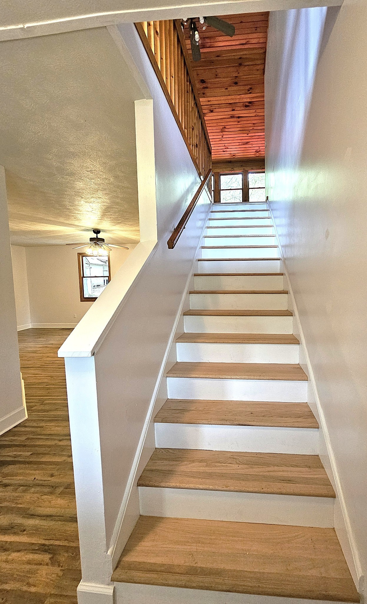 6100 Bell Branch Trl