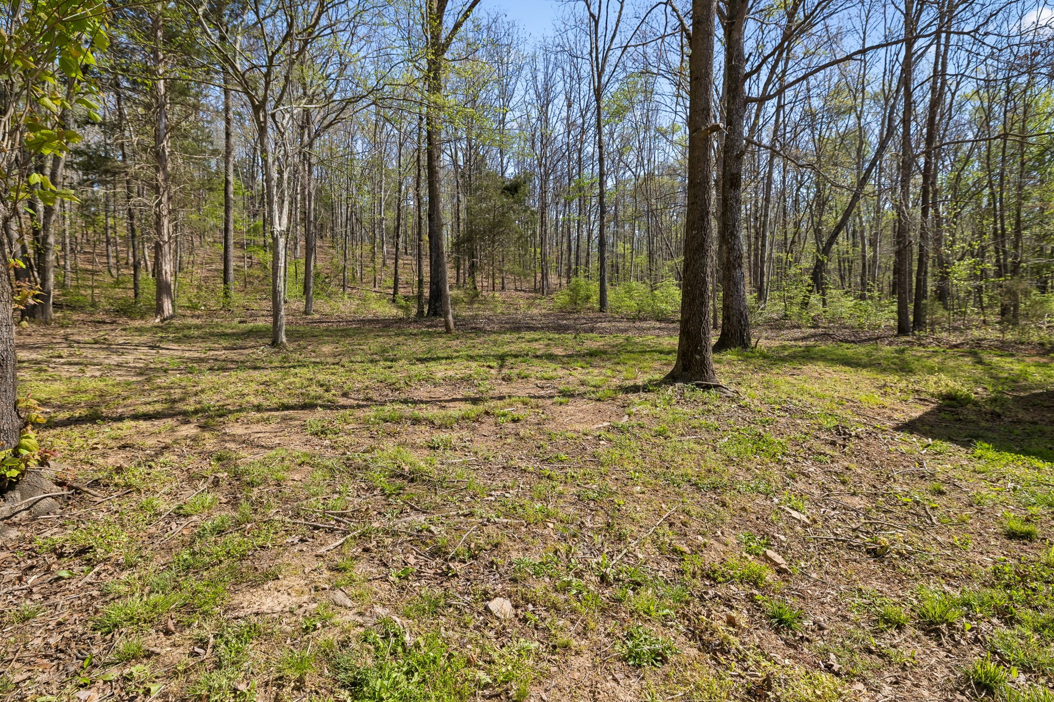 6100 Bell Branch Trl