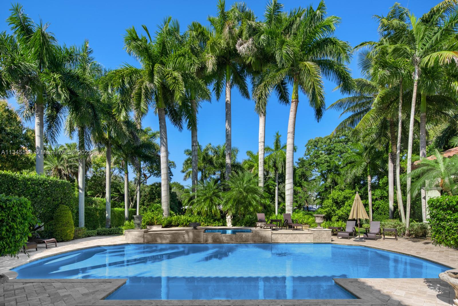 Backyard swimming pool framed by tall palms, tropical greenery, and patio seating.