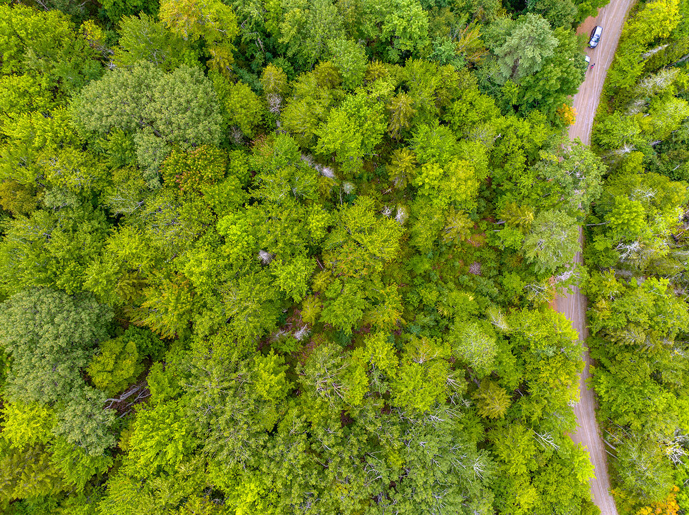 237 Knights Pond Road