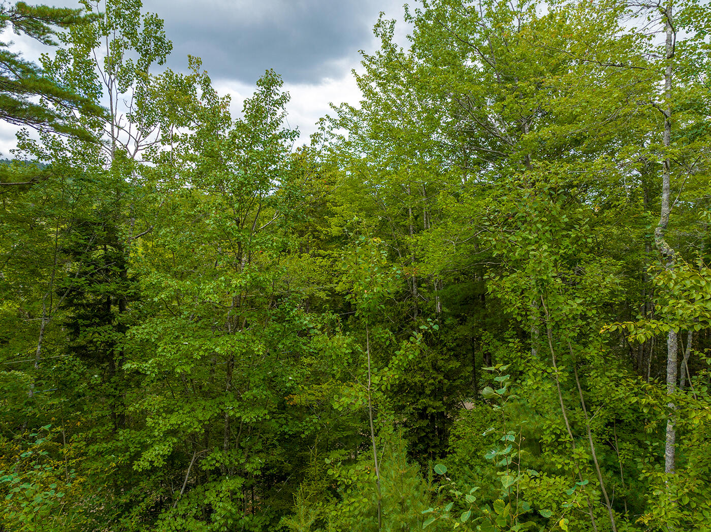 237 Knights Pond Road