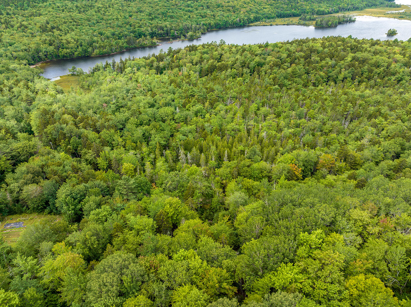 237 Knights Pond Road