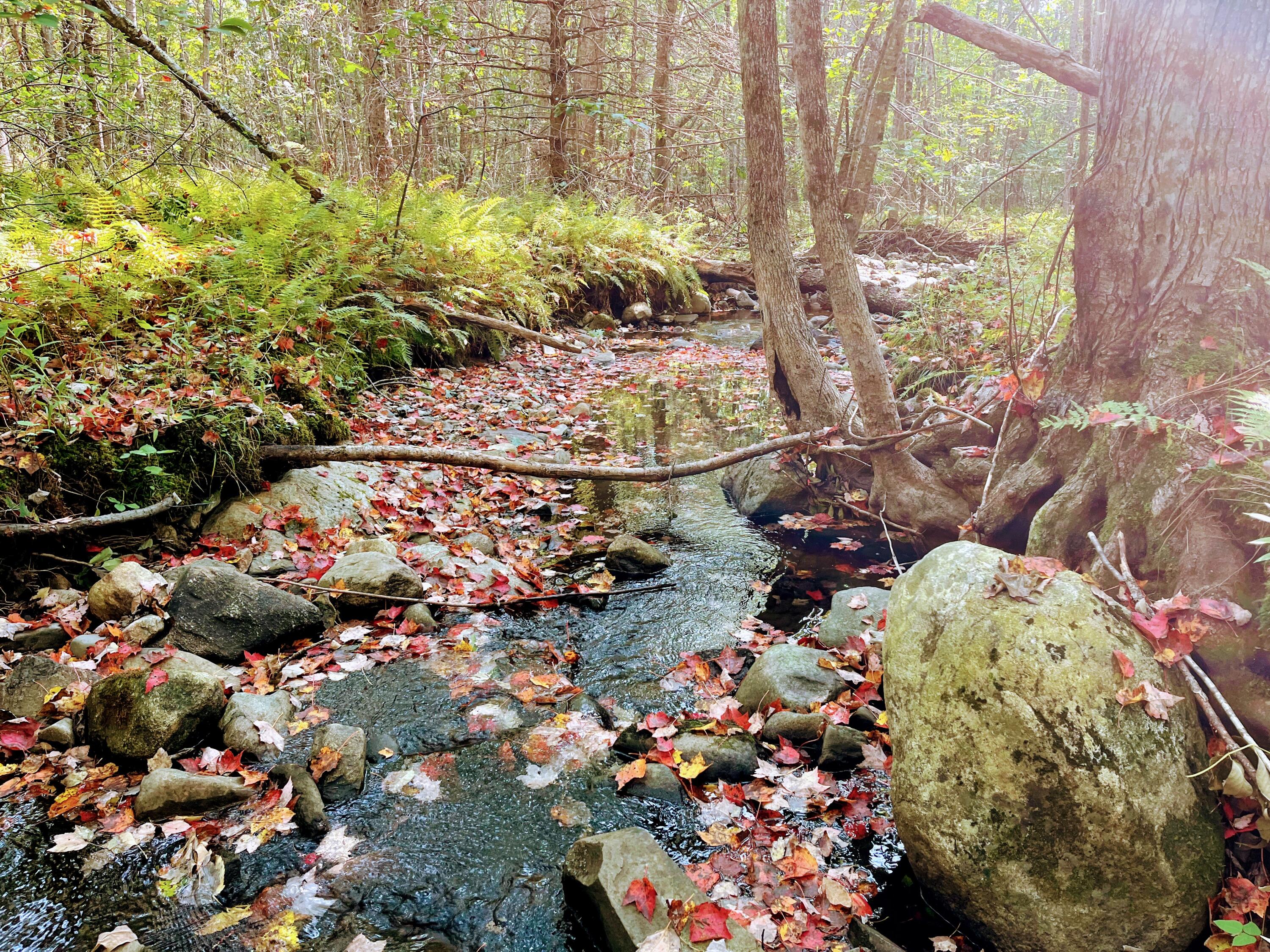 Map 34 L36 Masalin Road