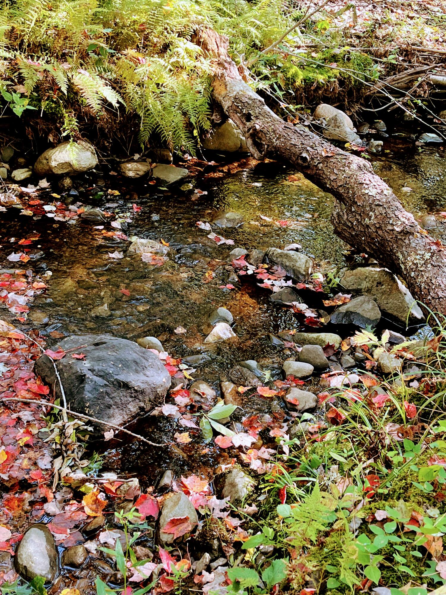 Map 34 L36 Masalin Road