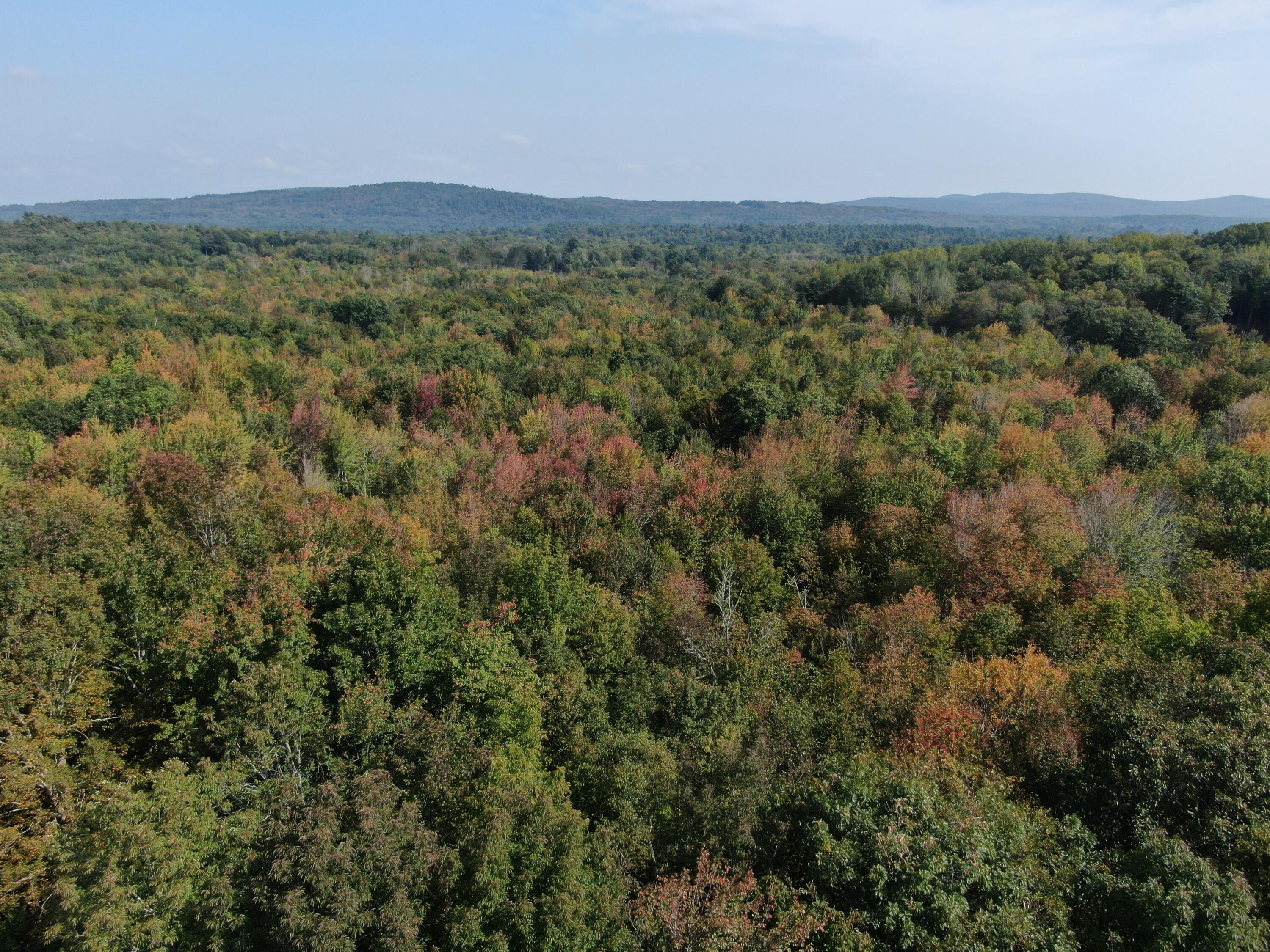 Map 34 L36 Masalin Road