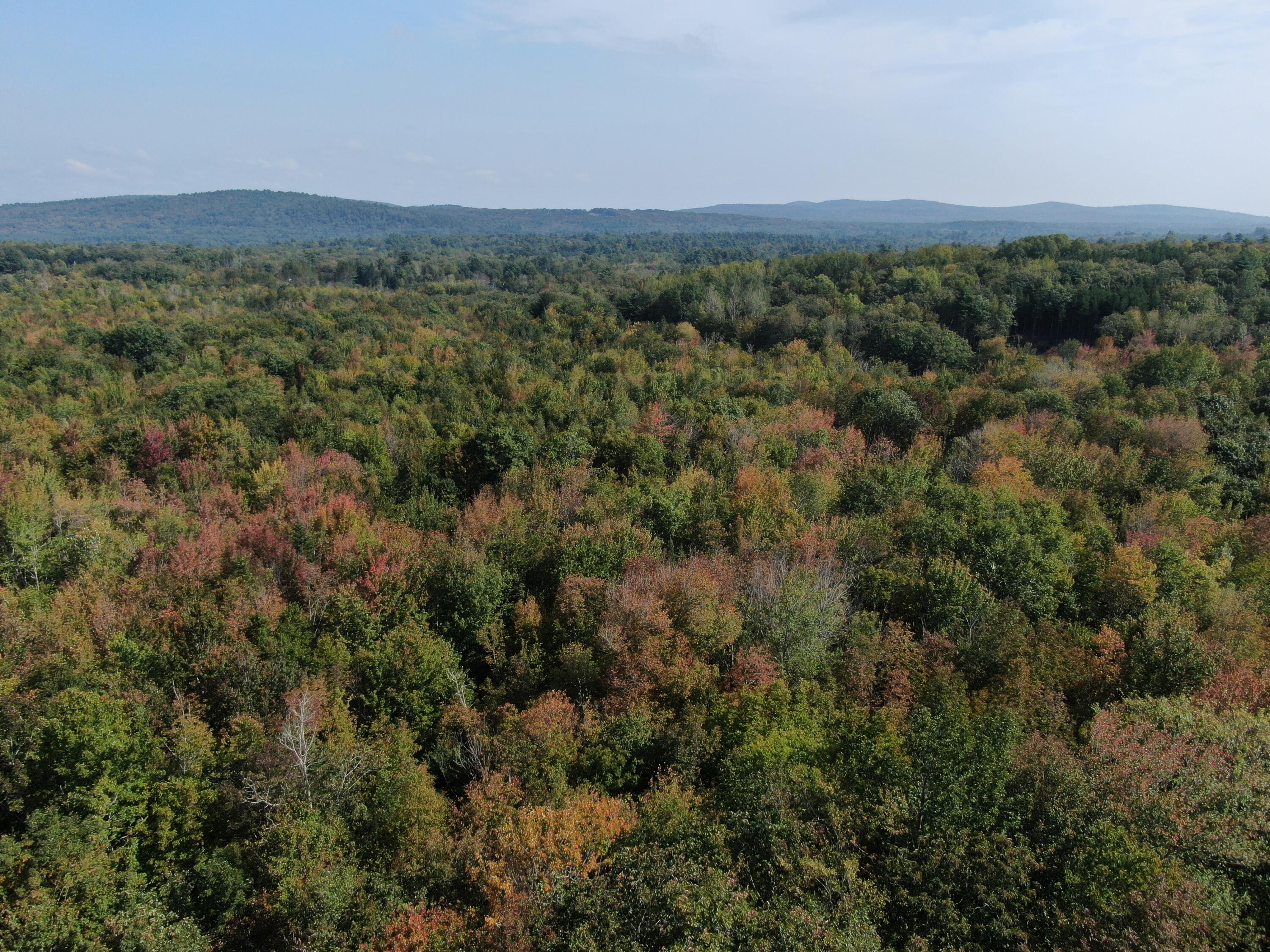 Map 34 L36 Masalin Road