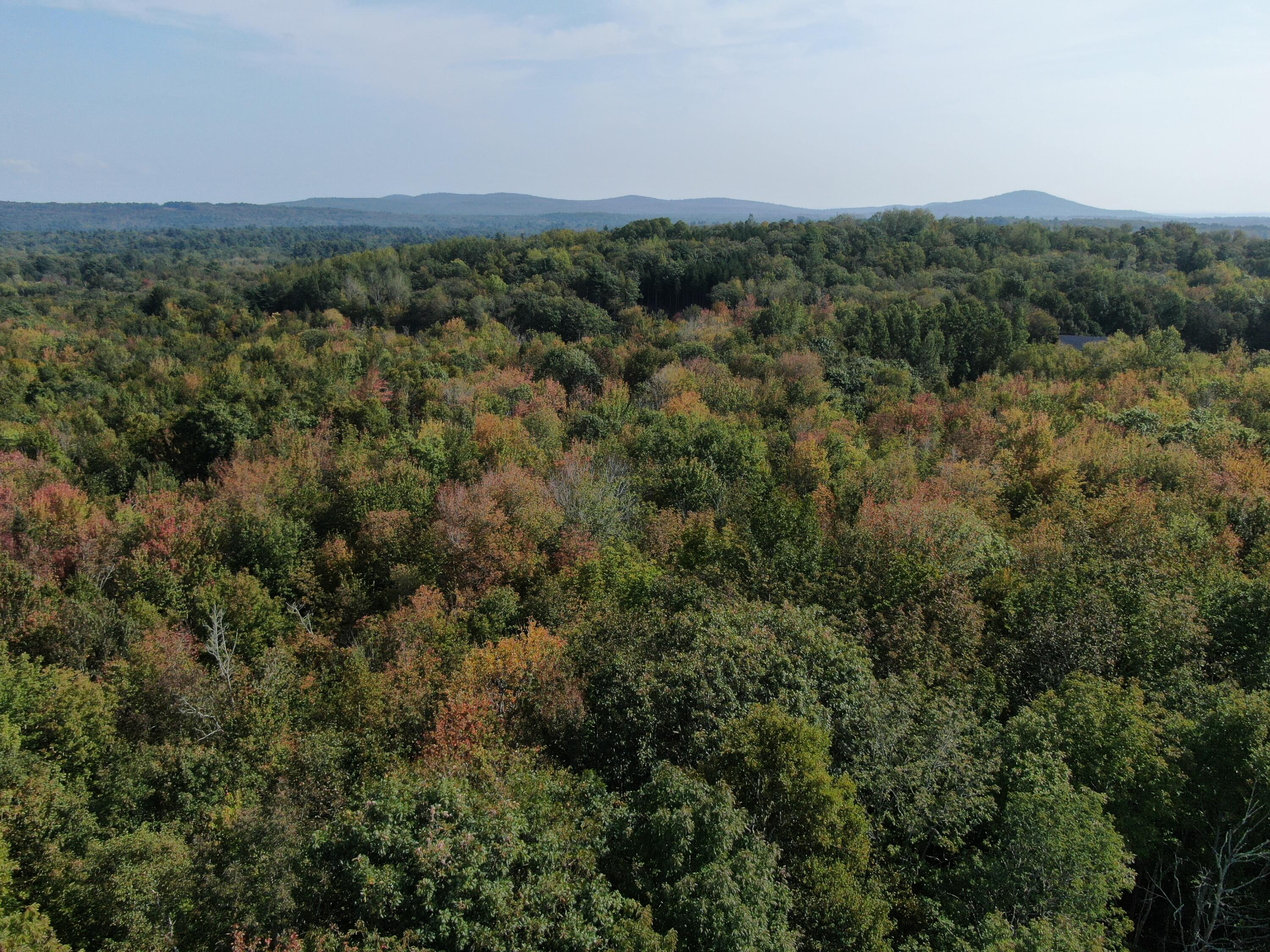 Map 34 L36 Masalin Road