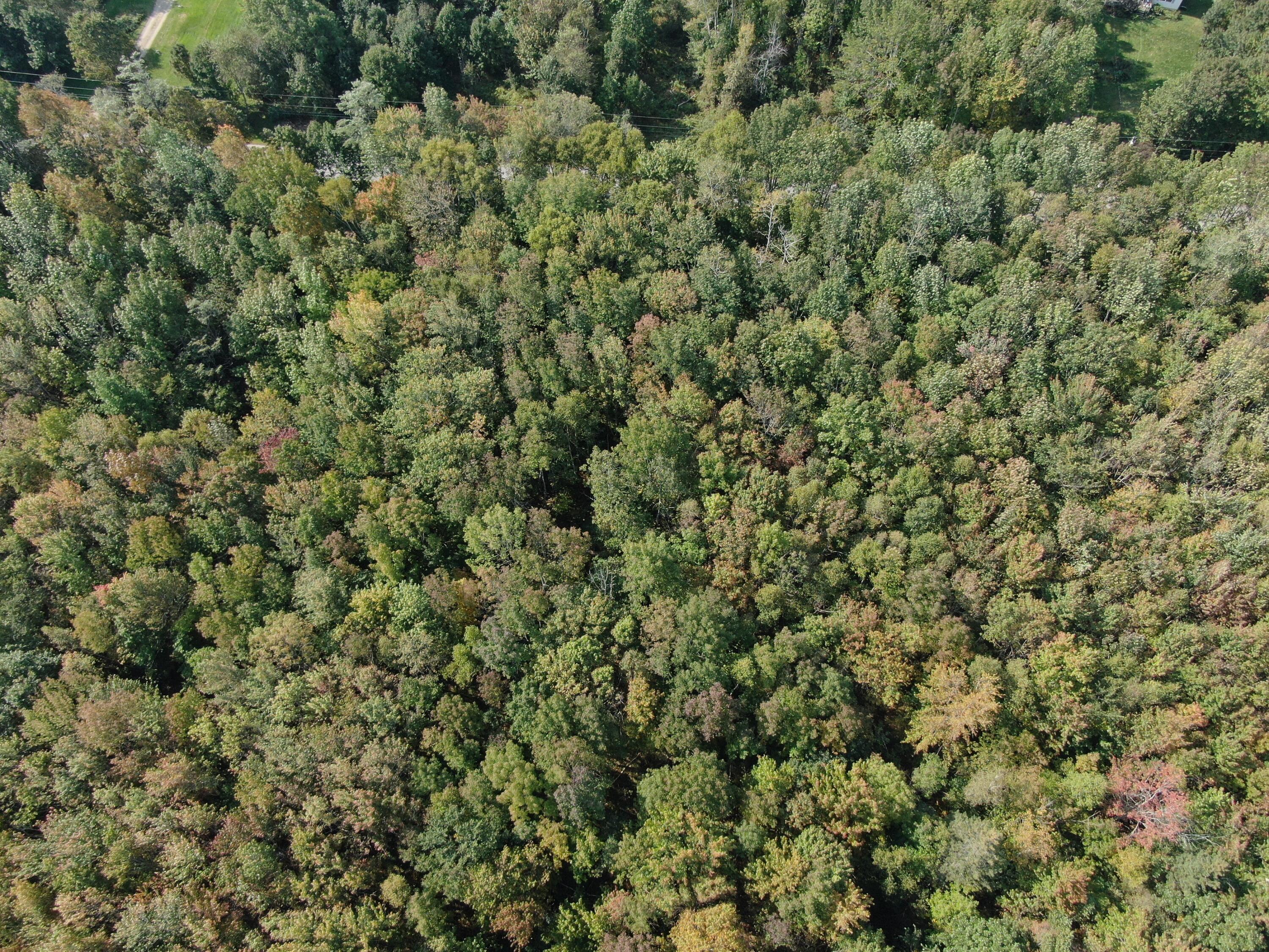 Map 34 L36 Masalin Road