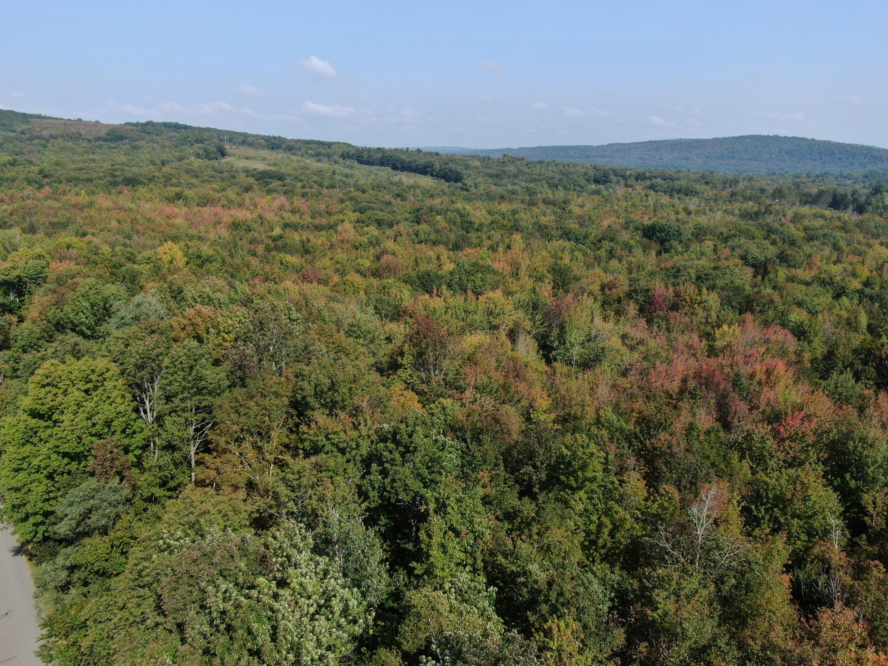 Map 34 L36 Masalin Road