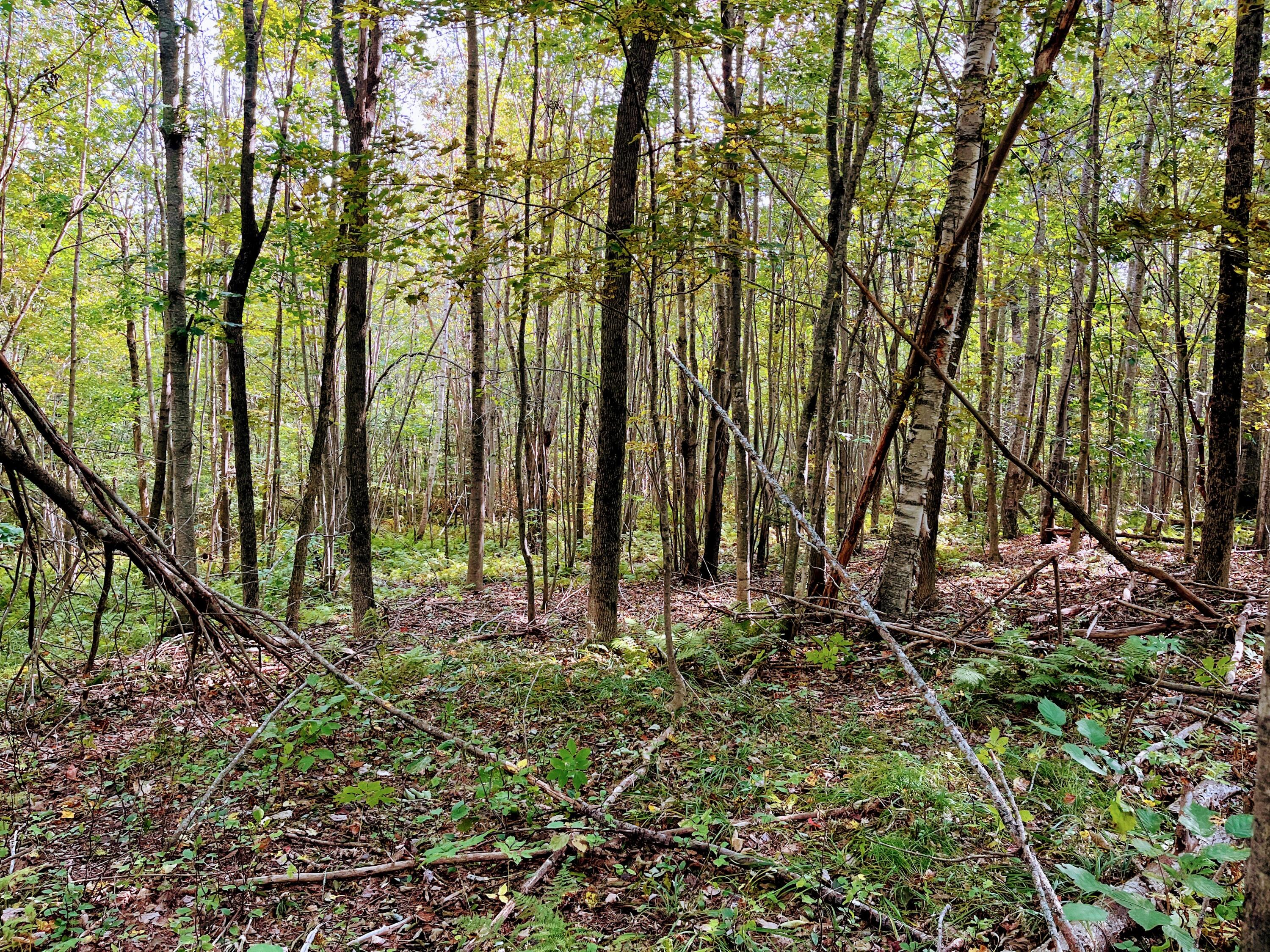 Map 34 L36 Masalin Road