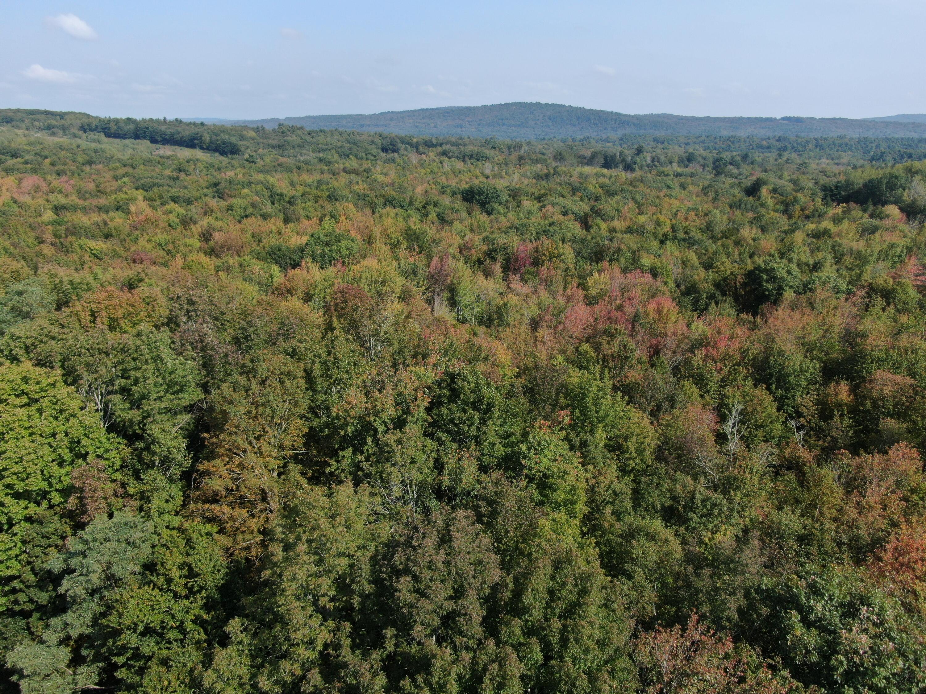 Map 34 L36 Masalin Road