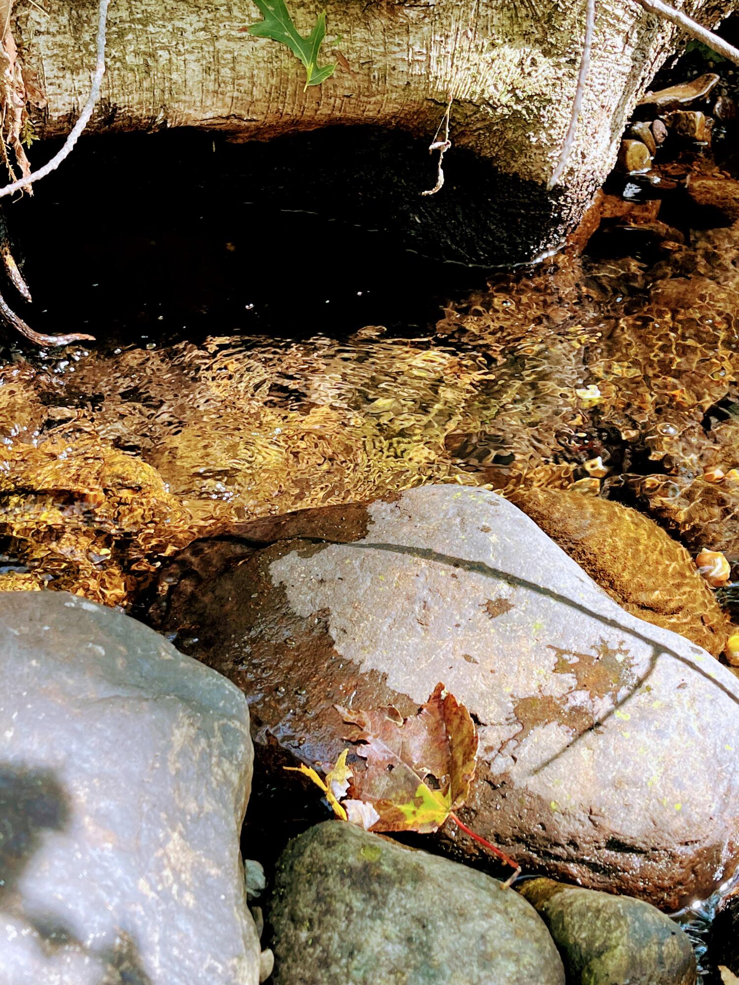 Map 34 L36 Masalin Road