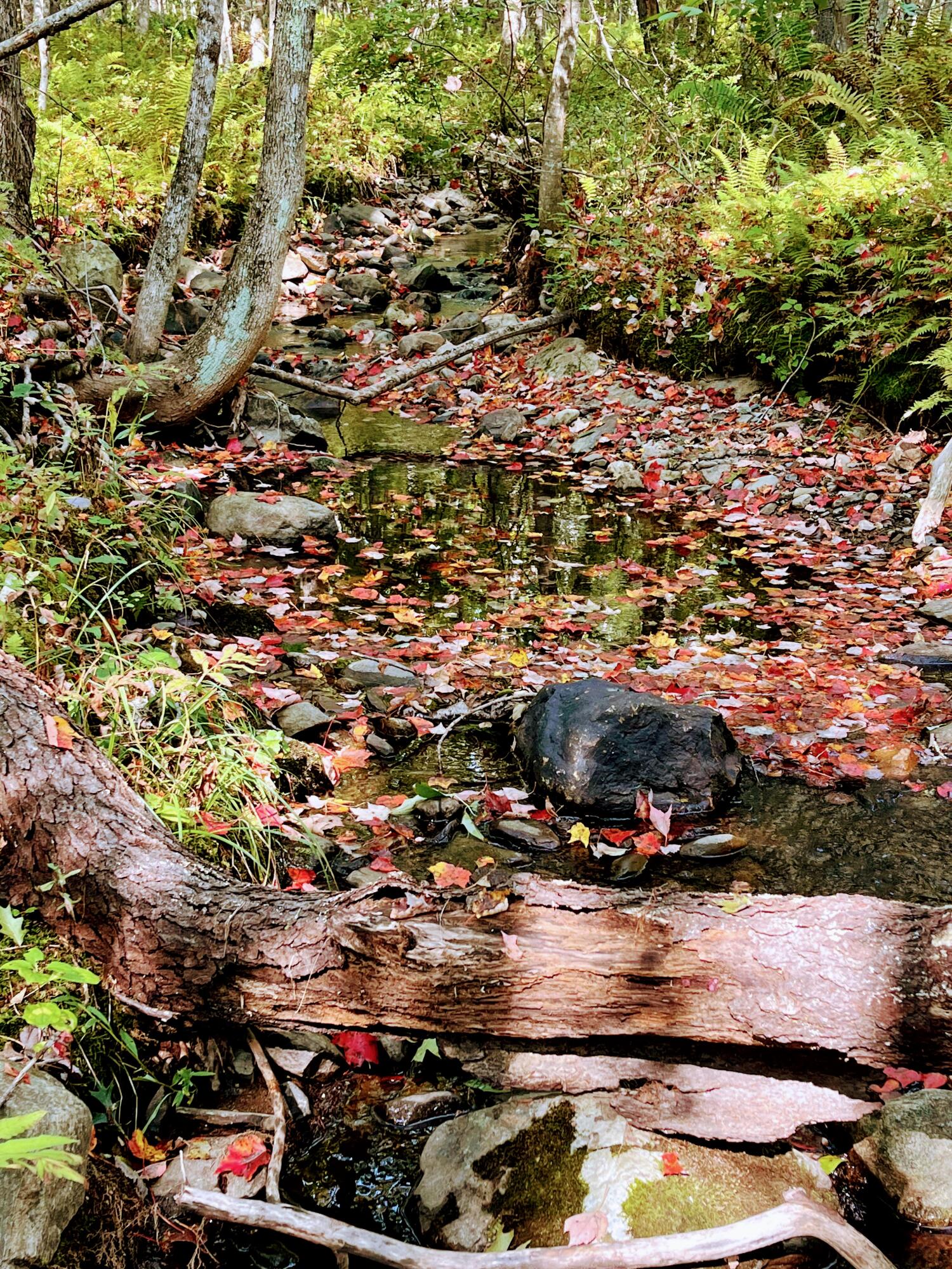 Map 34 L36 Masalin Road