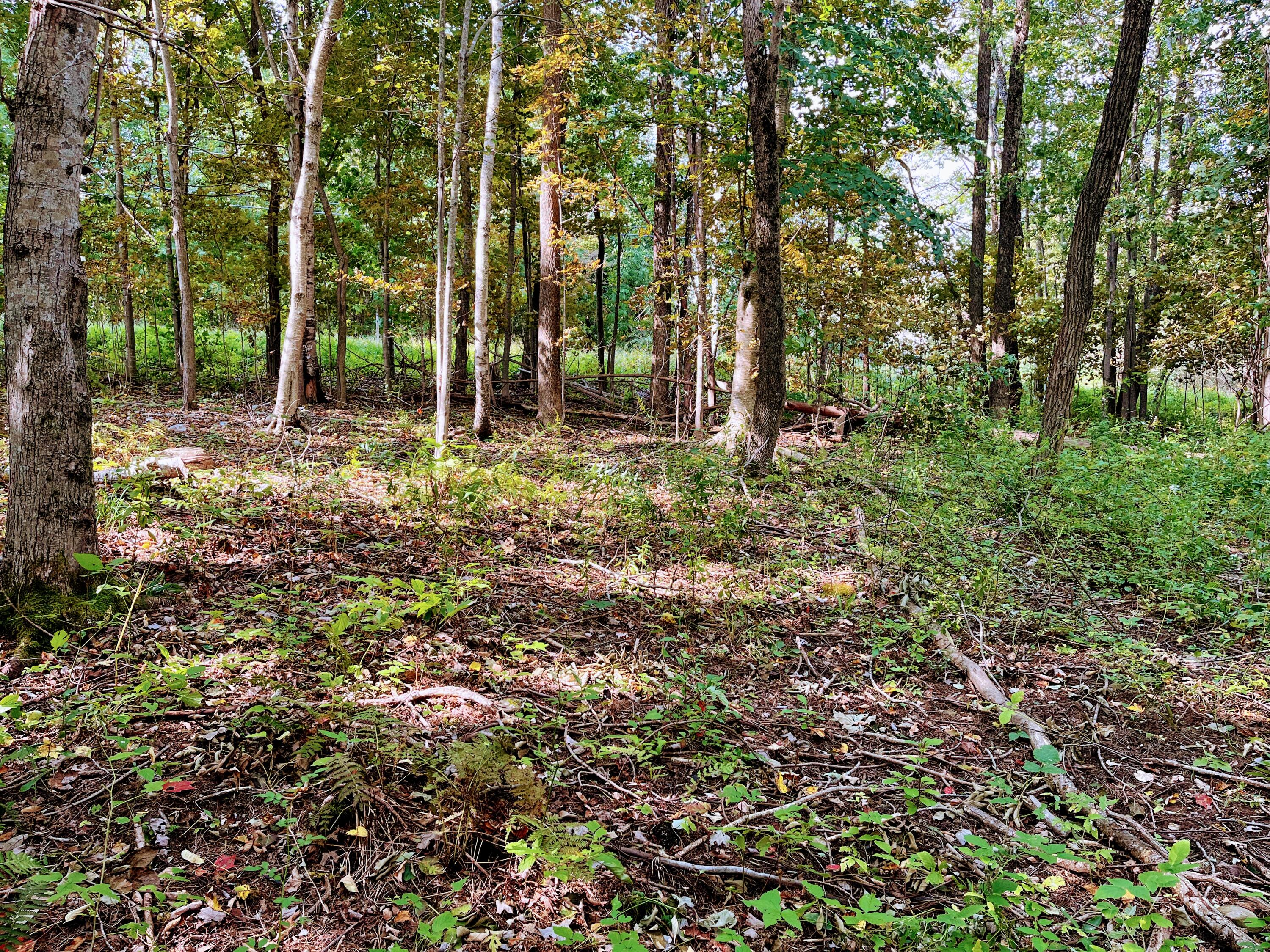 Map 34 L36 Masalin Road