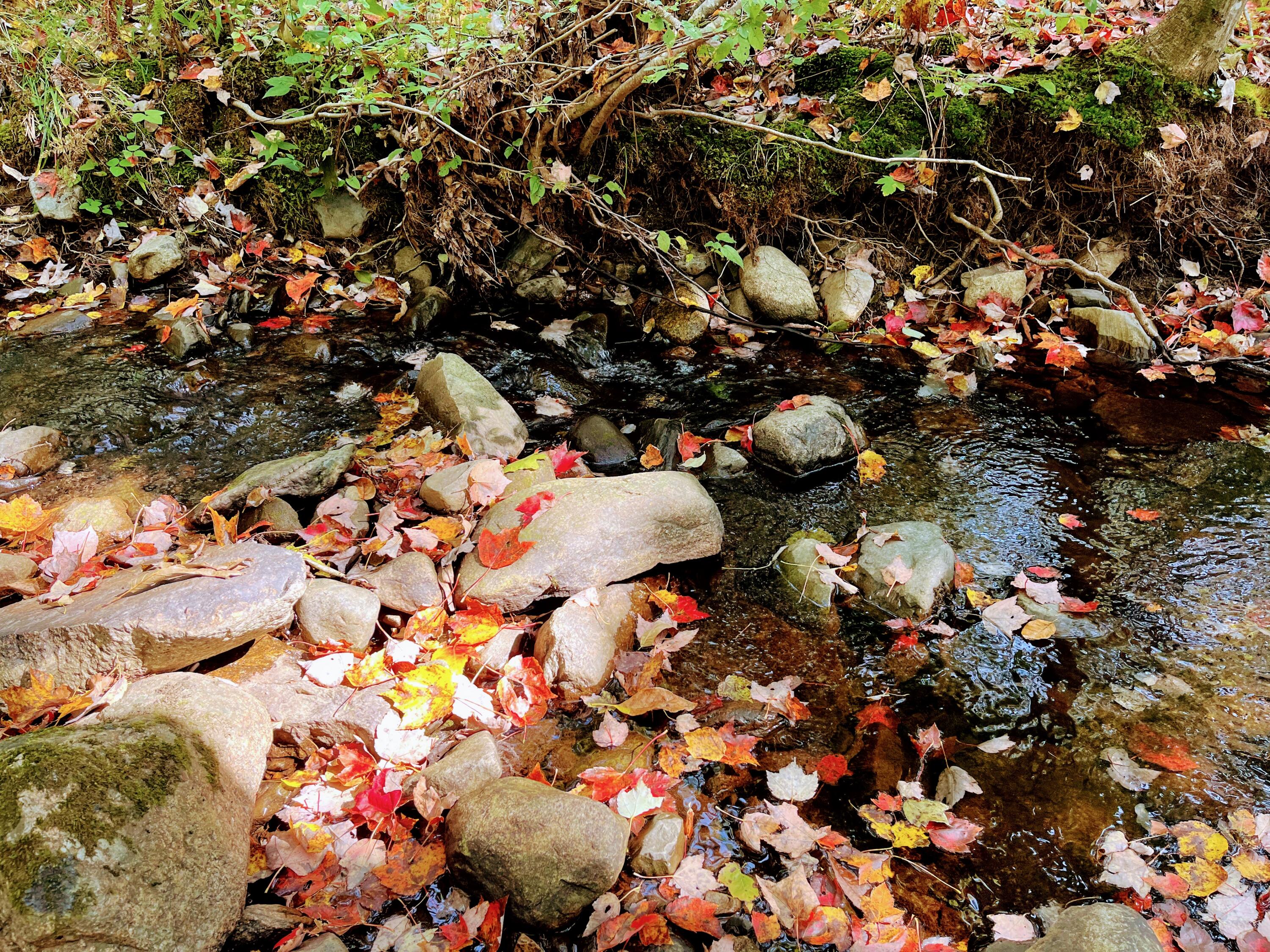 Map 34 L36 Masalin Road