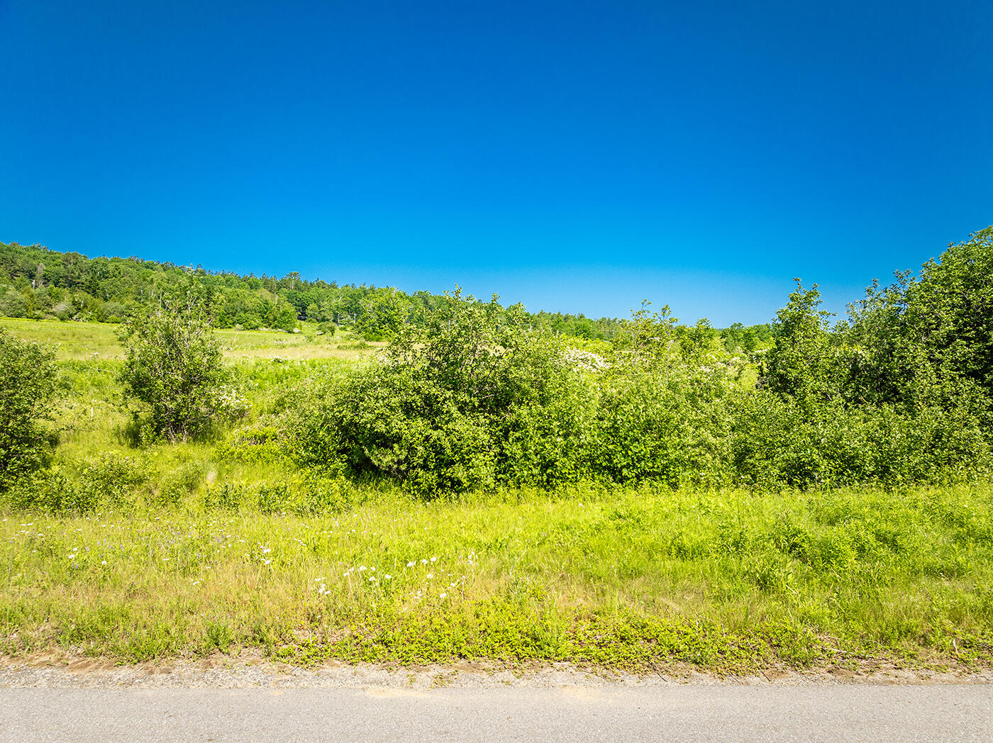 40 Water's Edge Drive