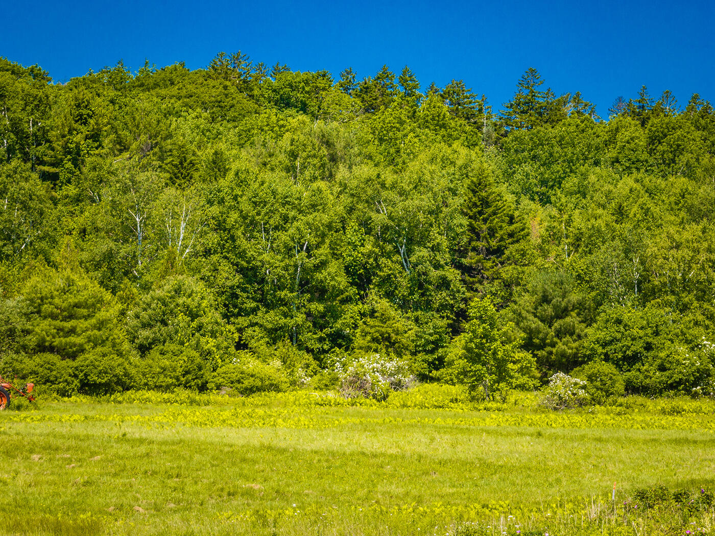 40 Water's Edge Drive