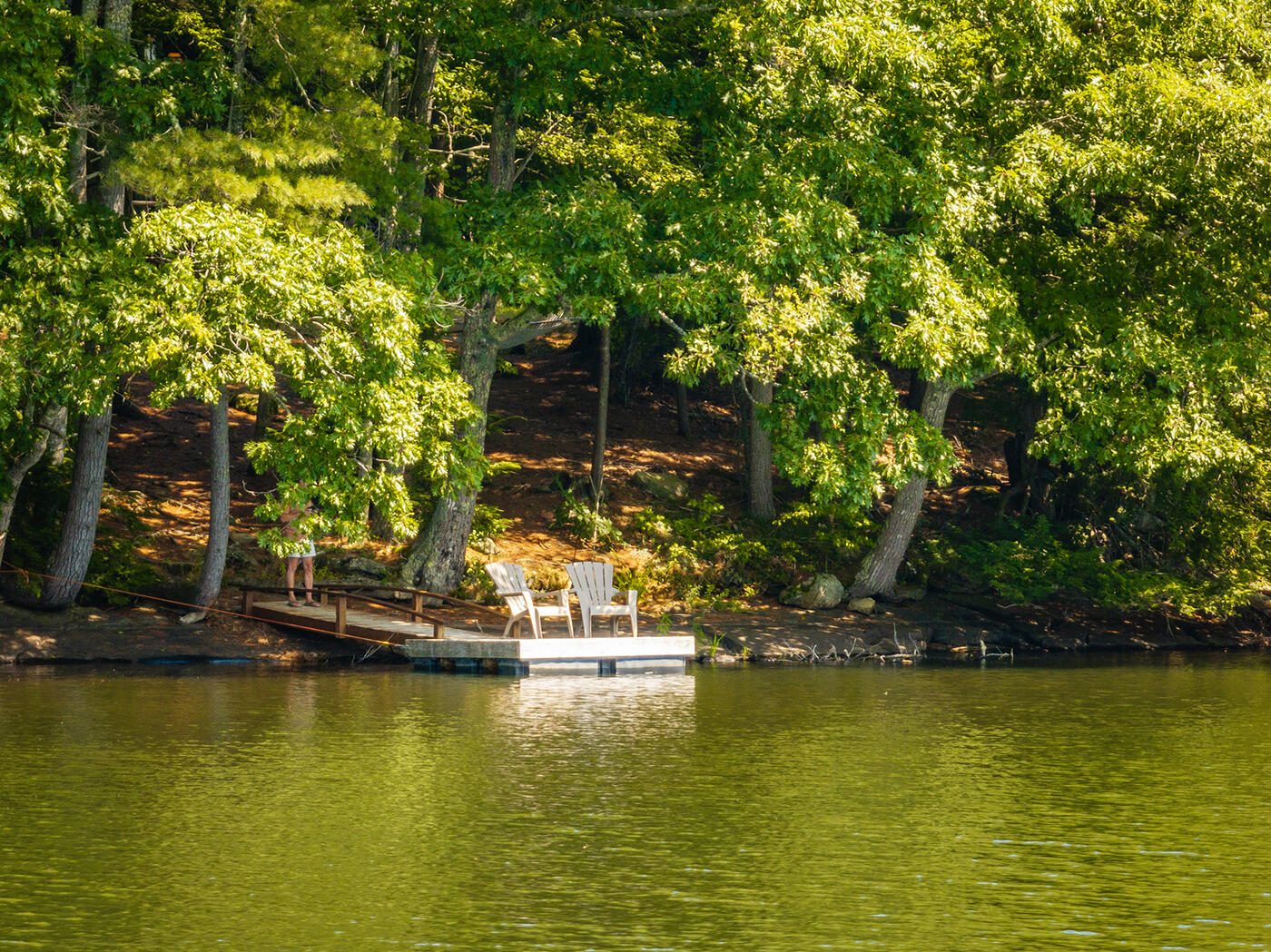 38 Codman Island Road