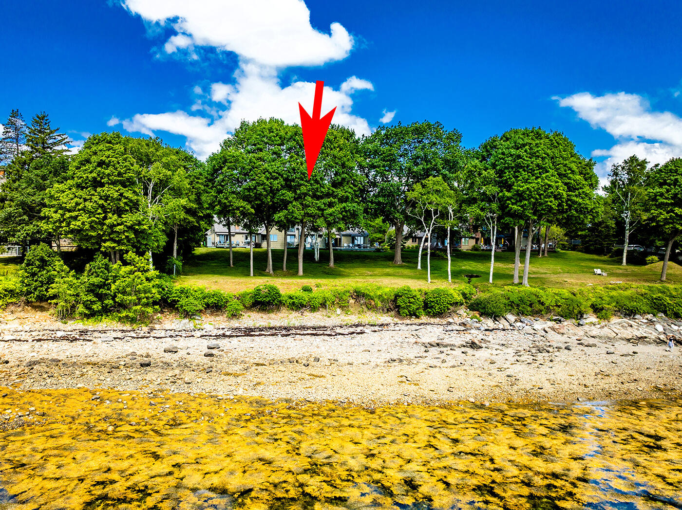 9 Jameson Point Road, 10