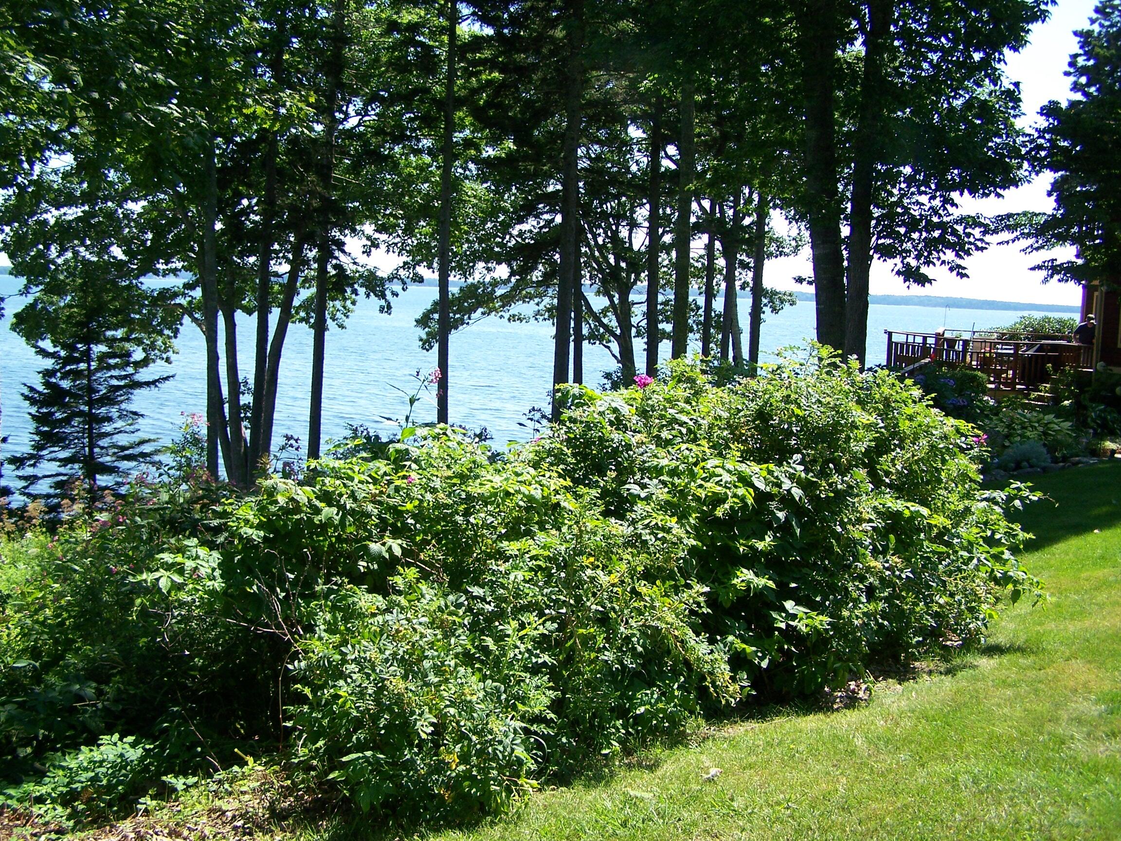 30 Harbor Drive, #30