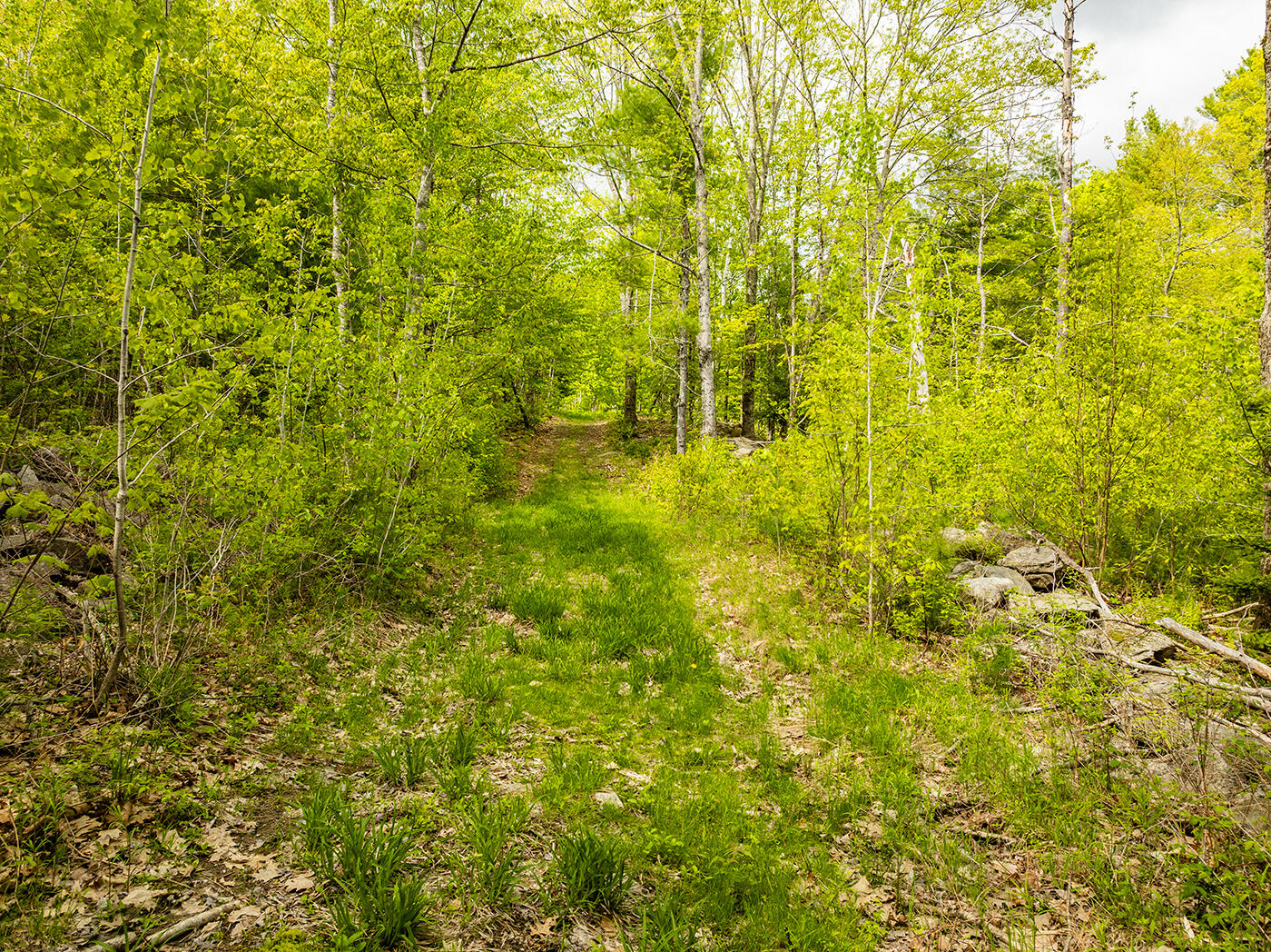 572 Old County Road